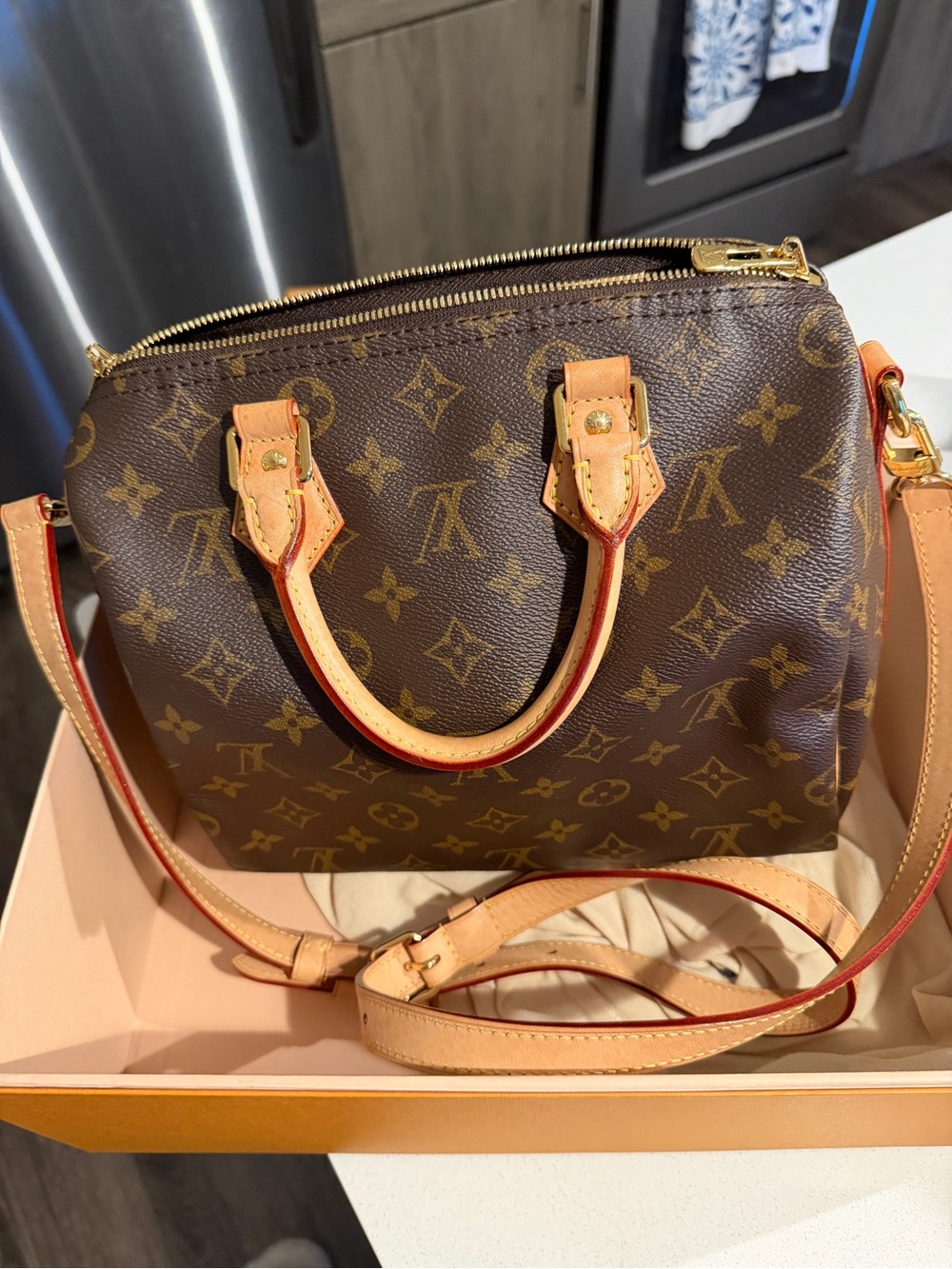 Louis Vuitton Monogram Canvas Small Satchel with Vachetta Trim